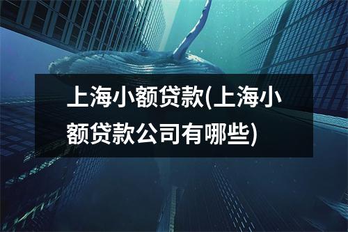 上海小额贷款(上海小额贷款公司有哪些)