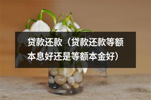 贷款还款(贷款还款等额本息好还是等额本金好)