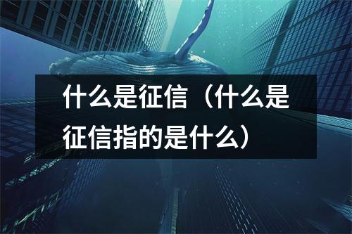 什么是征信（什么是征信指的是什么）