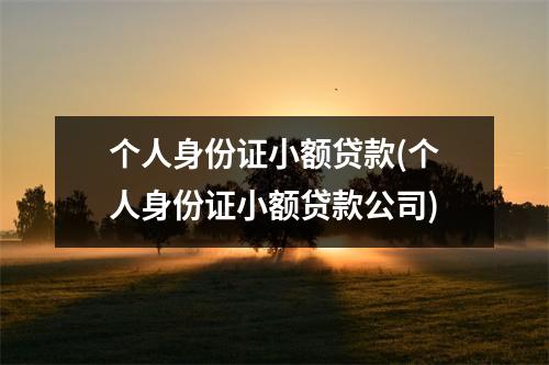 个人身份证小额贷款(个人身份证小额贷款公司)