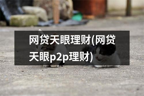 网贷天眼理财(网贷天眼p2p理财)