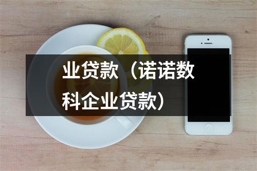 业贷款(诺诺数科企业贷款)