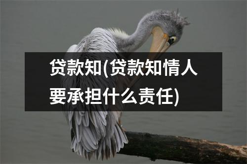 贷款知(贷款知情人要承担什么责任)