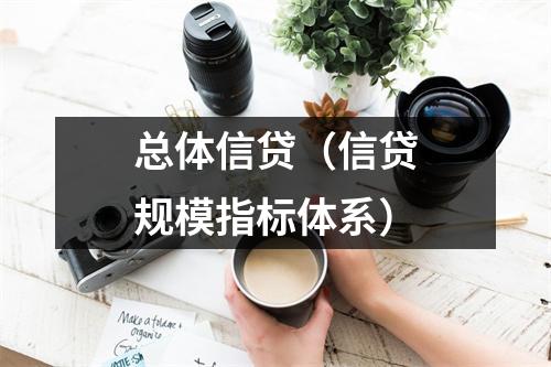 总体信贷(信贷规模指标体系)