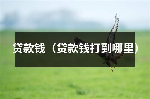 贷款钱(贷款钱打到哪里)