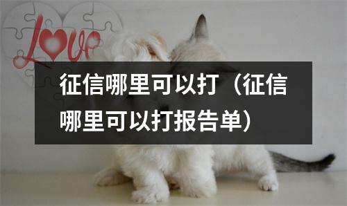 征信哪里可以打（征信哪里可以打报告单）