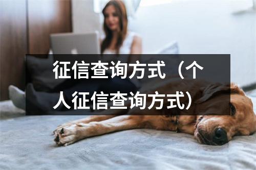 征信查询方式（个人征信查询方式）