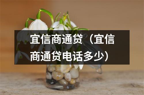宜信商通贷（宜信商通贷电话多少）