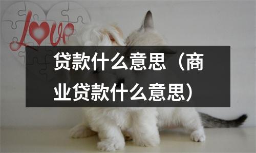 贷款什么意思（商业贷款什么意思）