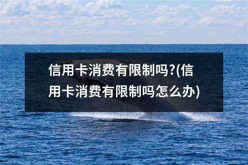 信用卡消费有限制吗?(信用卡消费有限制吗怎么办)