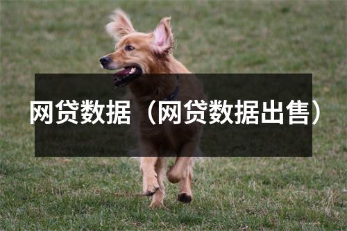 网贷数据（网贷数据出售）