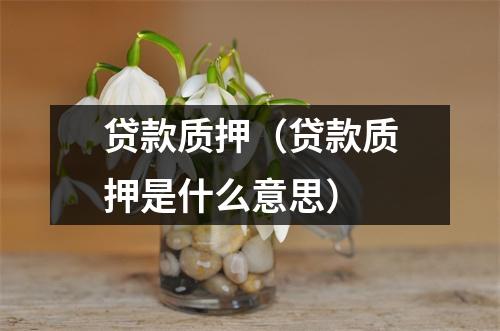 贷款质押（贷款质押是什么意思）