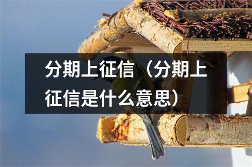 分期上征信（分期上征信是什么意思）
