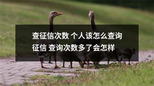 查征信次数 个人该怎么查询征信 查询次数多了会怎样