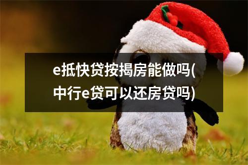 e抵快贷按揭房能做吗(中行e贷可以还房贷吗)