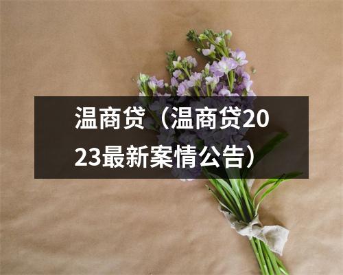 温商贷(温商贷2023最新案情公告)