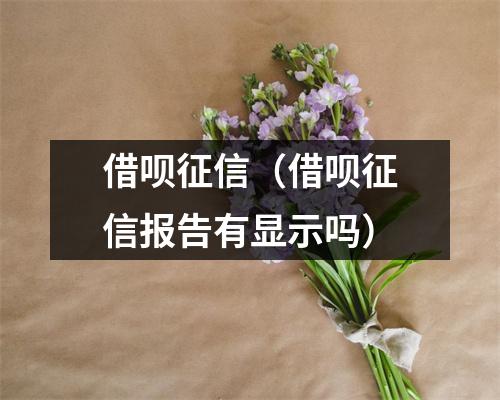 借呗征信（借呗征信报告有显示吗）