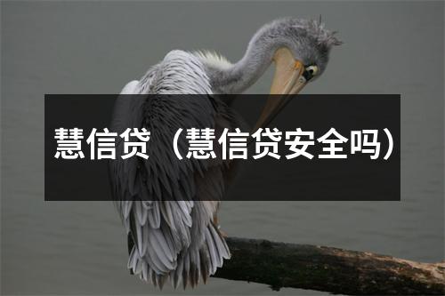 慧信贷(慧信贷安全吗)