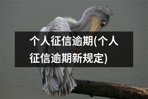 个人征信逾期(个人征信逾期新规定)