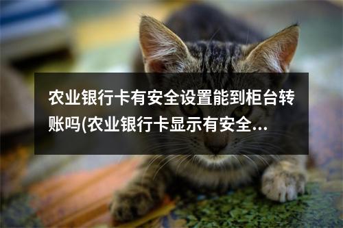 农业银行卡有安全设置能到柜台转账吗(农业银行卡显示有安全设置无法完成支付)