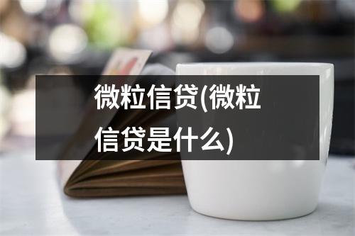 微粒信贷(微粒信贷是什么)