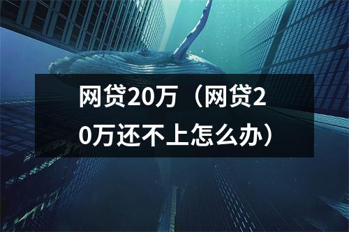 网贷20万(网贷20万还不上怎么办)