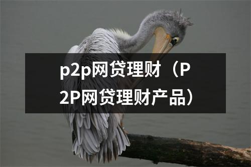 p2p网贷理财（P2P网贷理财产品）