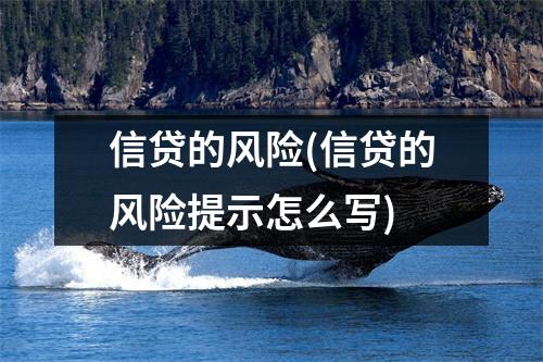 信贷的风险(信贷的风险提示怎么写)