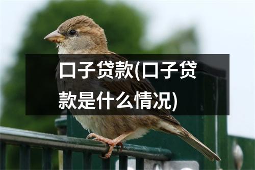 口子贷款(口子贷款是什么情况)