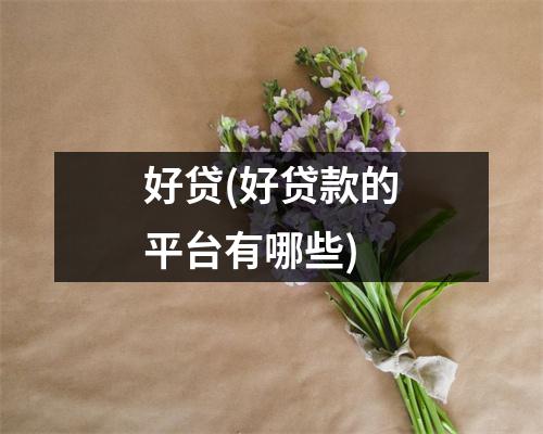 好贷(好贷款的平台有哪些)