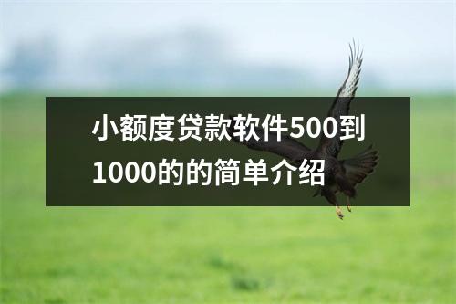 小额度贷款软件500到1000的的简单介绍