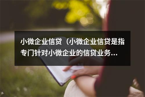 小微企业信贷(小微企业信贷是指专门针对小微企业的信贷业务)