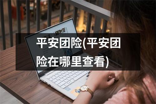 平安团险(平安团险在哪里查看)