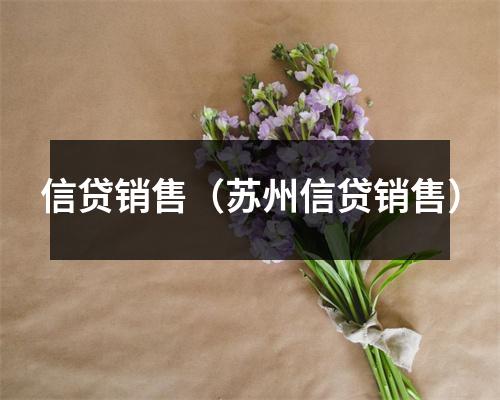 信贷销售（苏州信贷销售）