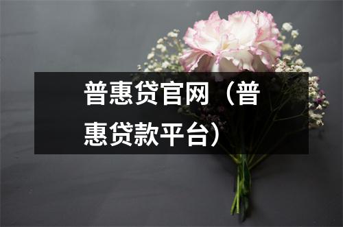普惠贷官网(普惠贷款平台)