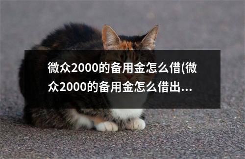 微众2000的备用金怎么借(微众2000的备用金怎么借出来)