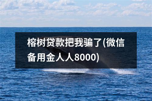 榕树贷款把我骗了(微信备用金人人8000)