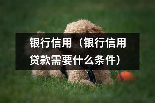 银行信用（银行信用贷款需要什么条件）
