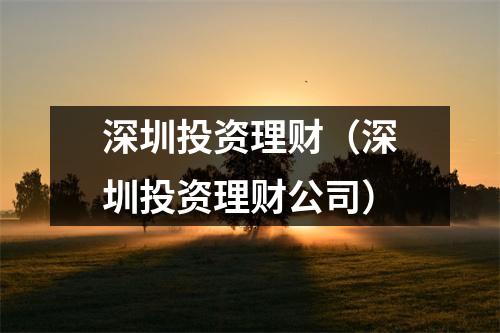 深圳投资理财（深圳投资理财公司）