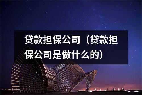 贷款担保公司(贷款担保公司是做什么的)