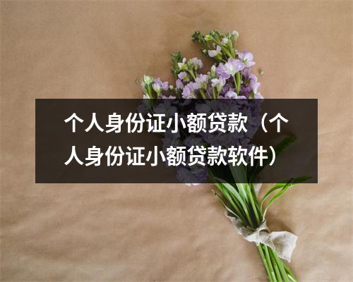 个人身份证小额贷款(个人身份证小额贷款软件)