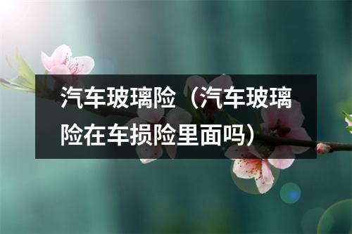 汽车玻璃险（汽车玻璃险在车损险里面吗）