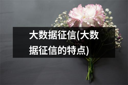 大数据征信(大数据征信的特点)