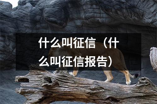 什么叫征信（什么叫征信报告）