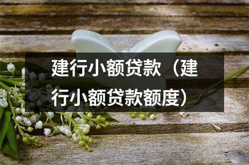 建行小额贷款（建行小额贷款额度）