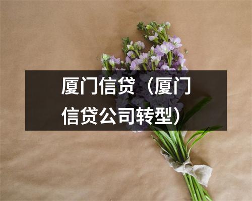 厦门信贷（厦门信贷公司转型）