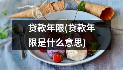 贷款年限(贷款年限是什么意思)