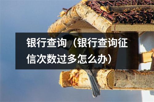银行查询（银行查询征信次数过多怎么办）