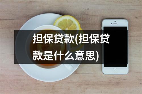 担保贷款(担保贷款是什么意思)