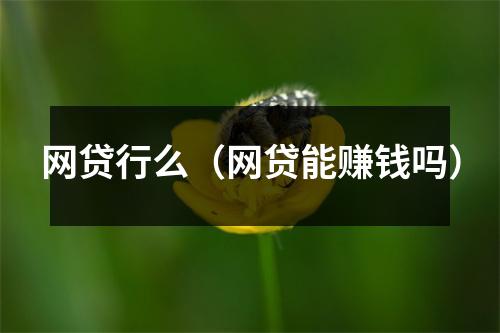 网贷行么（网贷能赚钱吗）